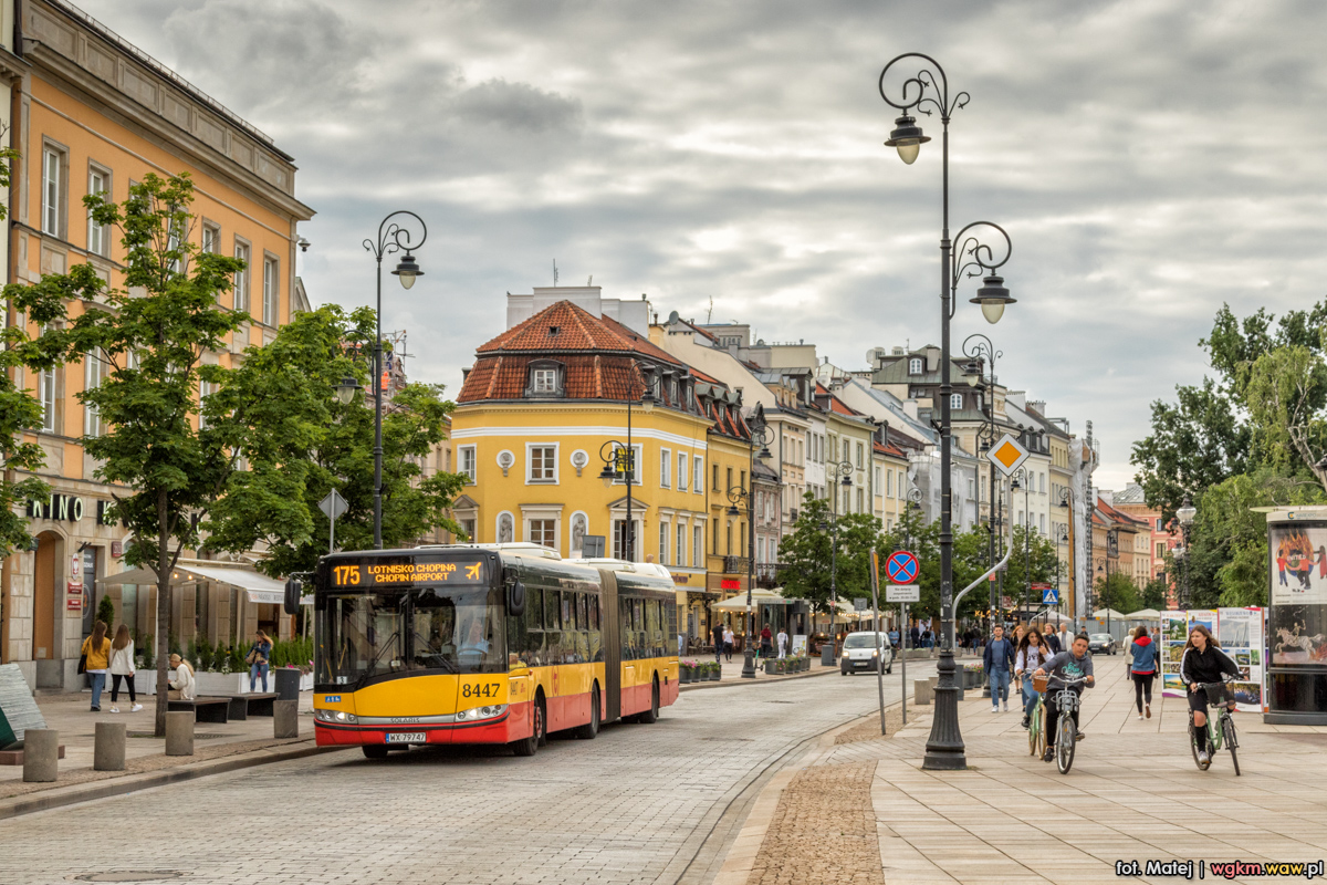 8447
Słowa kluczowe: DziwadĹo ZaArriva