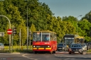 8V9A0602-Edit.jpg