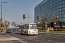 8V9A9413-Edit.jpg