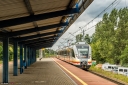 8V9A0451-Edit.jpg