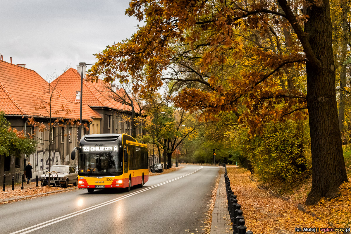 9556
Słowa kluczowe: jesieĹ