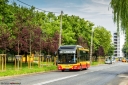 8V9A6411-Edit.jpg