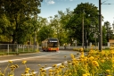 8V9A7286-Edit.jpg