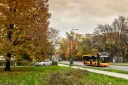 8V9A8785-Edit.jpg