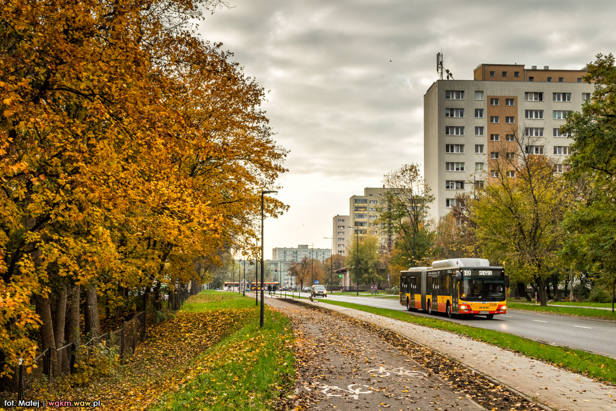 7230
Słowa kluczowe: jesieĹ