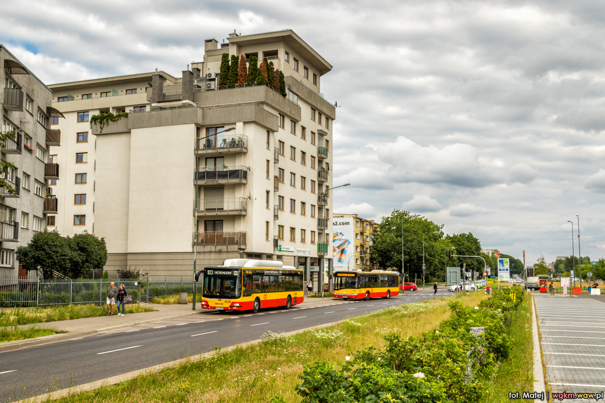 4228
Słowa kluczowe: DziwadĹo ZaArriva