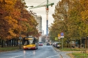 8V9A8833-Edit.jpg