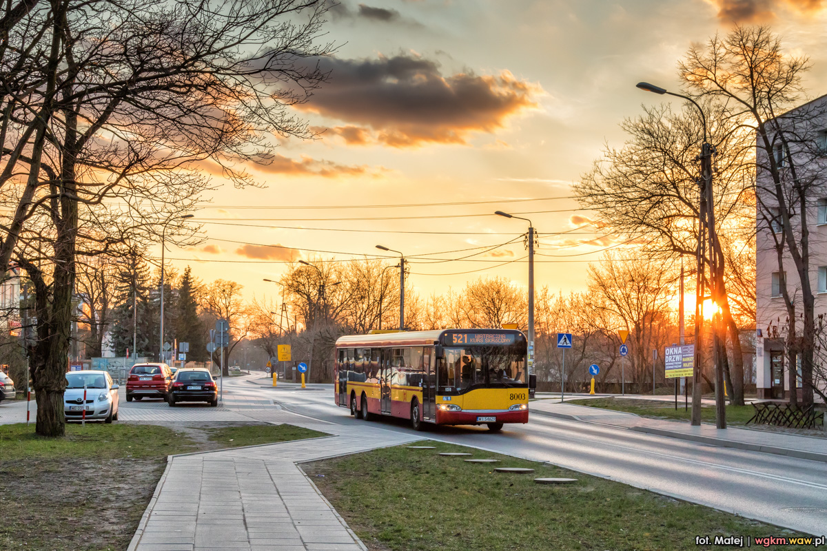 8003
Słowa kluczowe: SU15 ZachĂłd