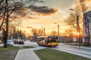 8V9A9384-Edit-Edit.jpg