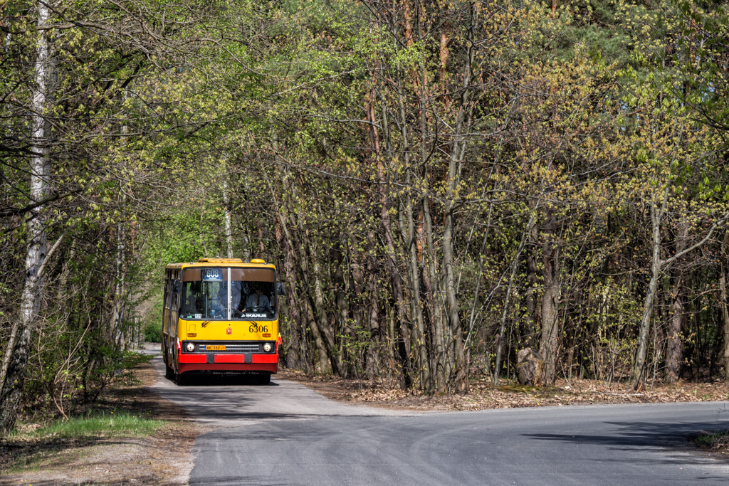 6306
Słowa kluczowe: AutomatemDoMacierzy IK260 Natura