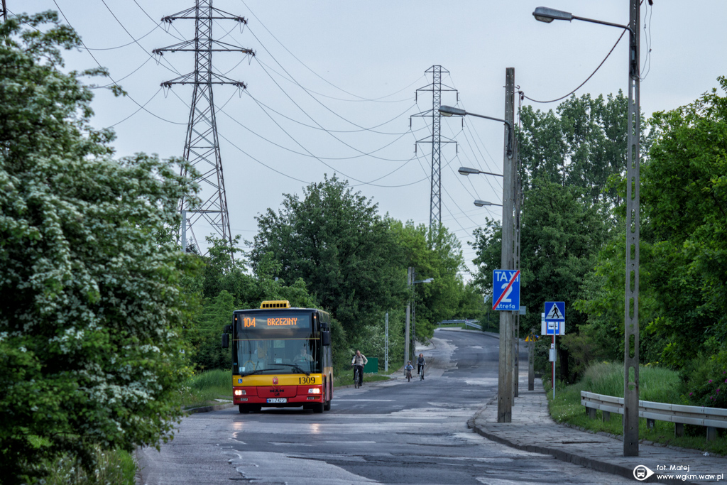 1309
Słowa kluczowe: NM223 Natura