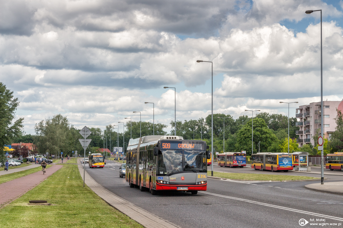 8396
NieczÄsty goĹÄ na 509.

