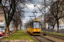 8V9A0378-Edit.jpg