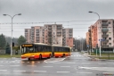 8V9A0891-Edit.jpg