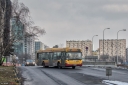 8V9A3530-Edit.jpg