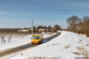 8V9A3688-Edit.jpg