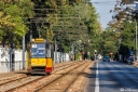 IMG_0038-Edit.jpg