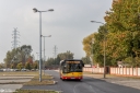 IMG_1549-Edit.jpg