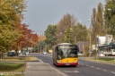 IMG_1567-Edit.jpg