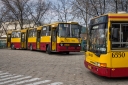IMG_1725-Edit.jpg
