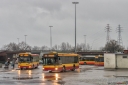 IMG_2493-Edit.jpg