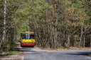 IMG_2847-Edit.jpg