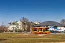 IMG_5411-Edit.jpg