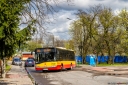IMG_5544-Edit.jpg