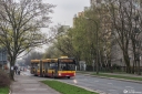 IMG_5554-Edit.jpg