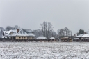 IMG_8431.jpg