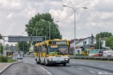 _MG_2415-Edit.jpg