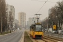 _MG_6432.JPG