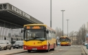 _MG_6995.JPG