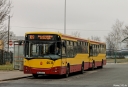 _MG_7010.JPG