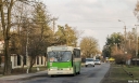 _MG_7067.JPG