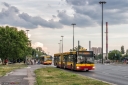 _MG_7250-Edit.jpg