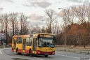 _MG_7779_1.JPG