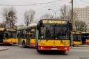 _MG_8340.JPG