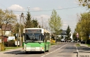 _MG_9260_1.JPG