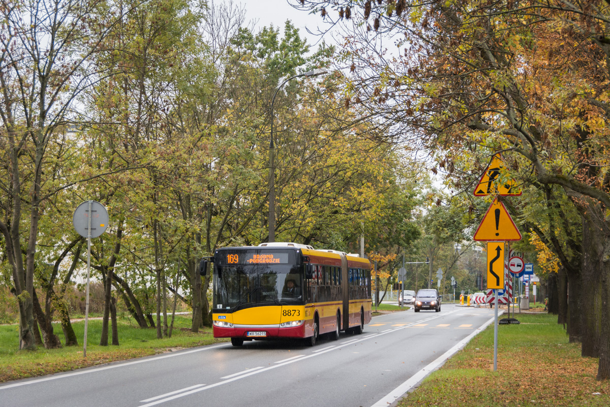 8873
Słowa kluczowe: JesieĹ