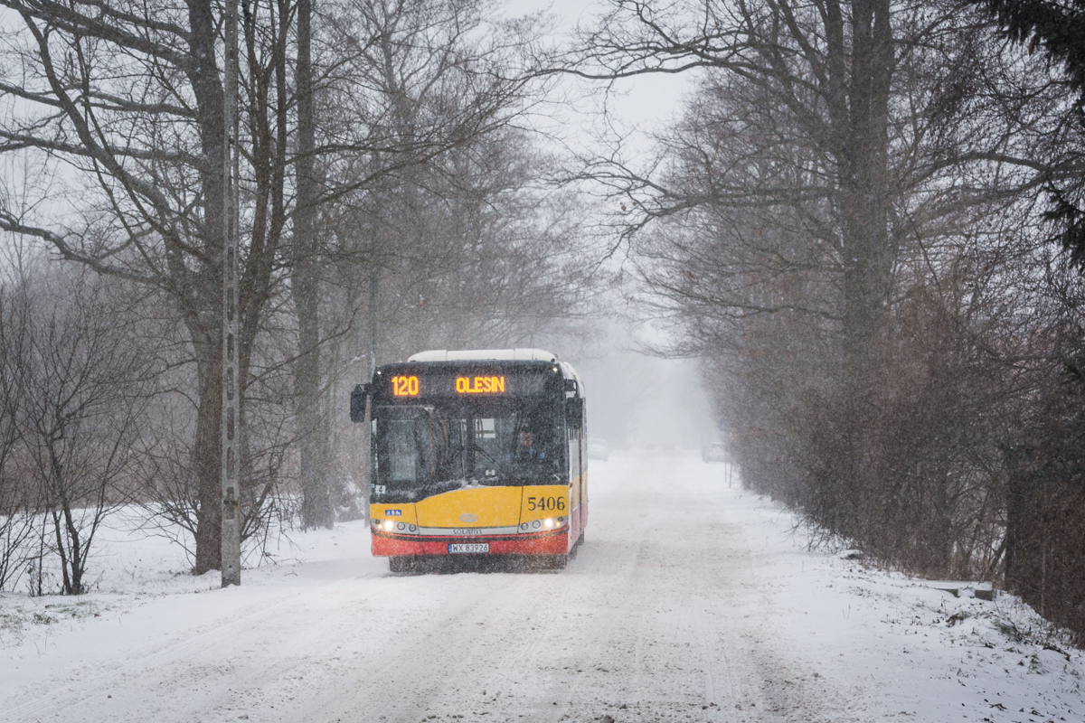 5406
Słowa kluczowe: Zima