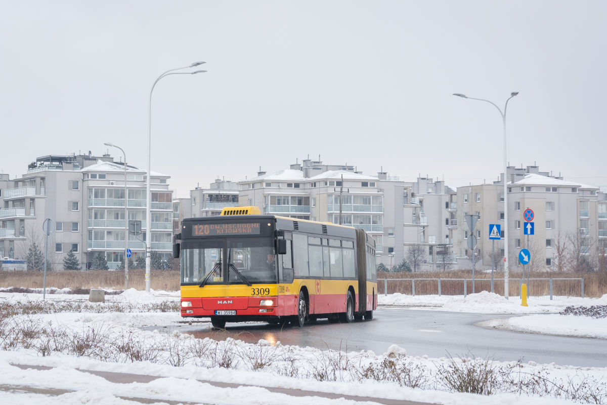 3309
Słowa kluczowe: Zima