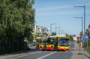 DSC_7999.jpg