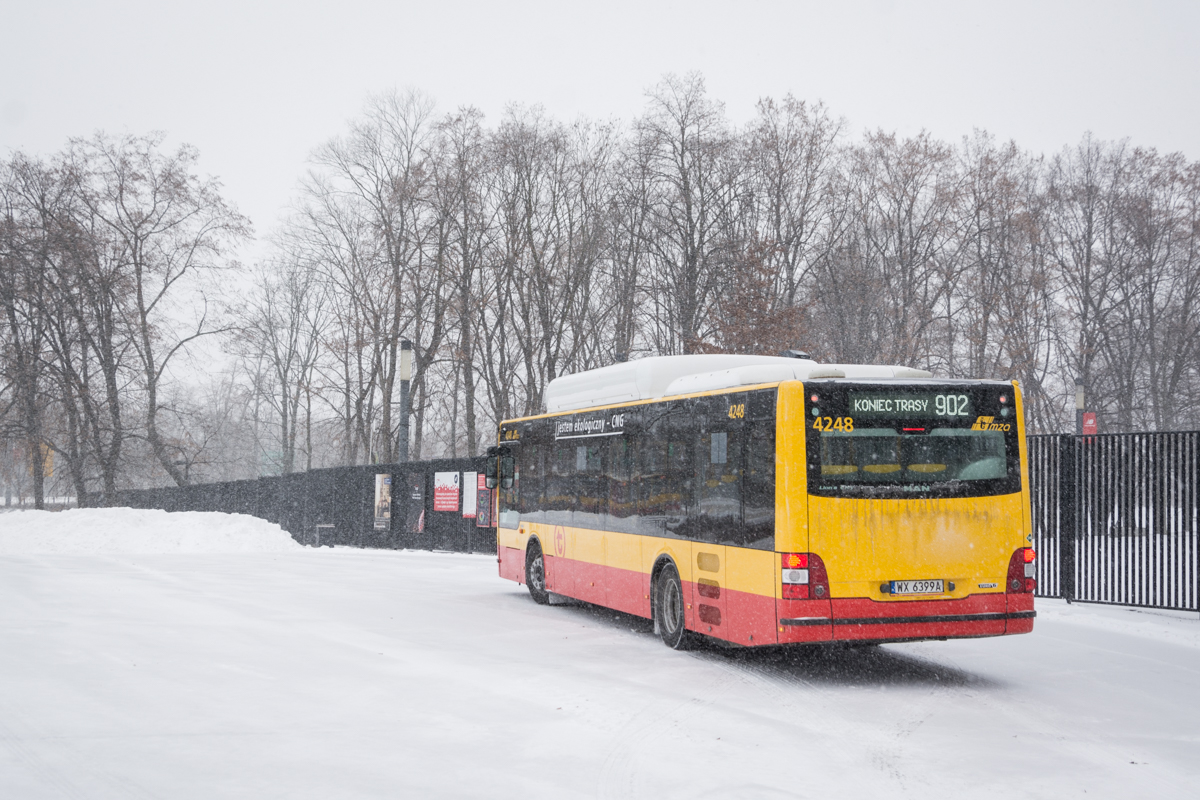 4248
Słowa kluczowe: Zima