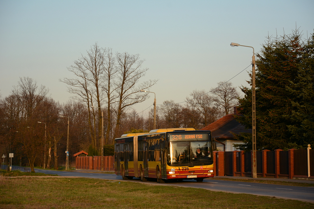 A226
Słowa kluczowe: DziwadĹo ITSNG363
