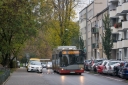 DSC_3601-2.jpg