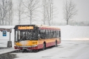 DSC_4886-4.jpg