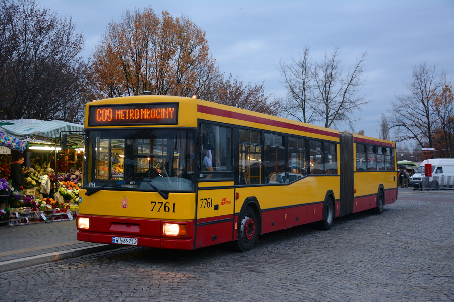 7761
Słowa kluczowe: WĹ2013 M181