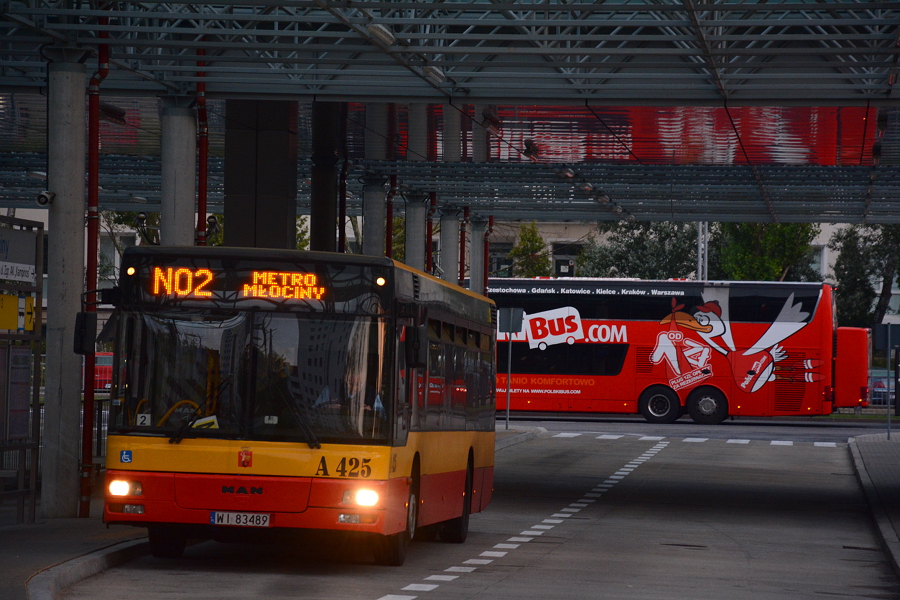 A425
Wczesnym porankiem na MĹocinach.
Słowa kluczowe: ITSNL223