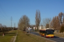 159_5BA1025D_Augustowka_5B2014-03-125D.JPG
